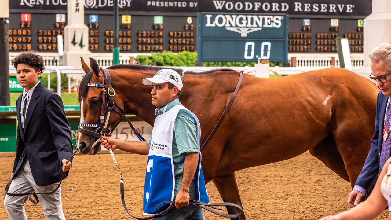 Derby winner Mystik Dan draws No. 5 post for Preakness, Baffert's Muth opens as the favorite