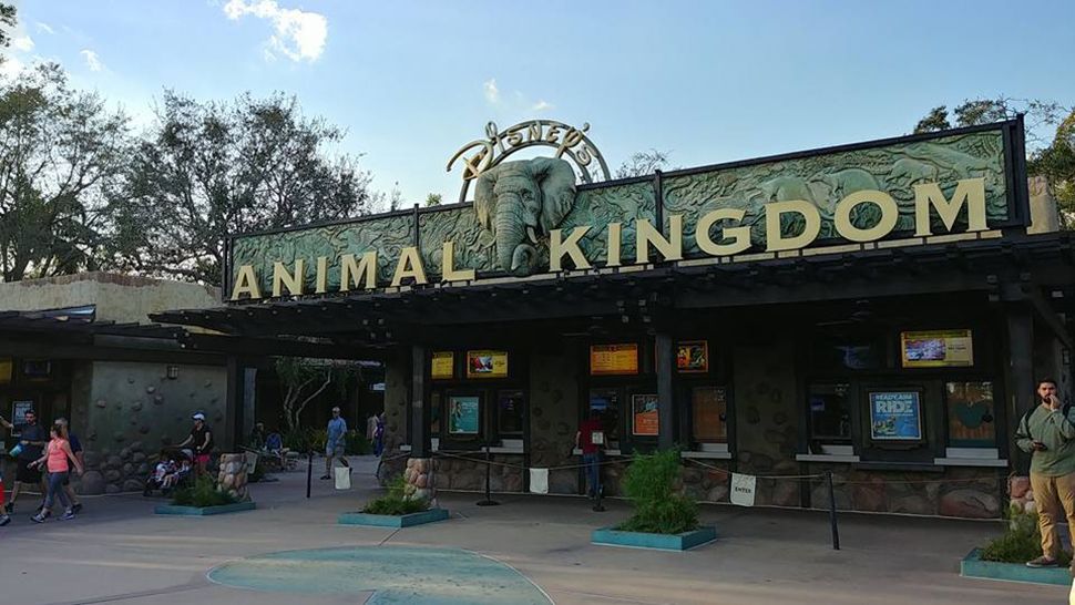 Entrance at Disney's Animal Kingdom. (Spectrum News 13)