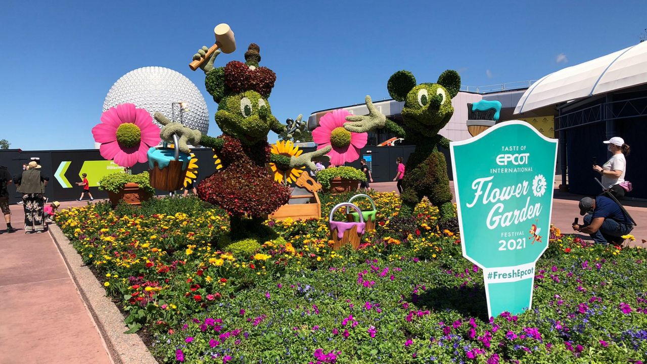 Minnie and Mickey topiaries at the Taste of Epcot International Flower & Garden Festival. (Ashley Carter/Spectrum News)
