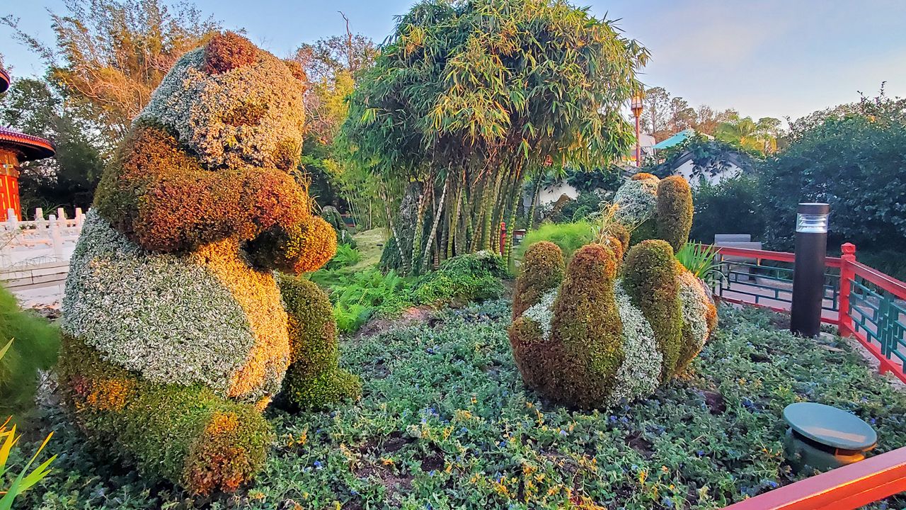 The panda topiaries in the China pavilion at EPCOT. (Spectrum News/Ashley Carter)