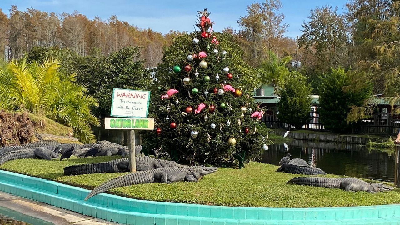 Gatorland is holding its Holiday Ho Ho Ho-Down select days in December. (Photo: Gatorland)