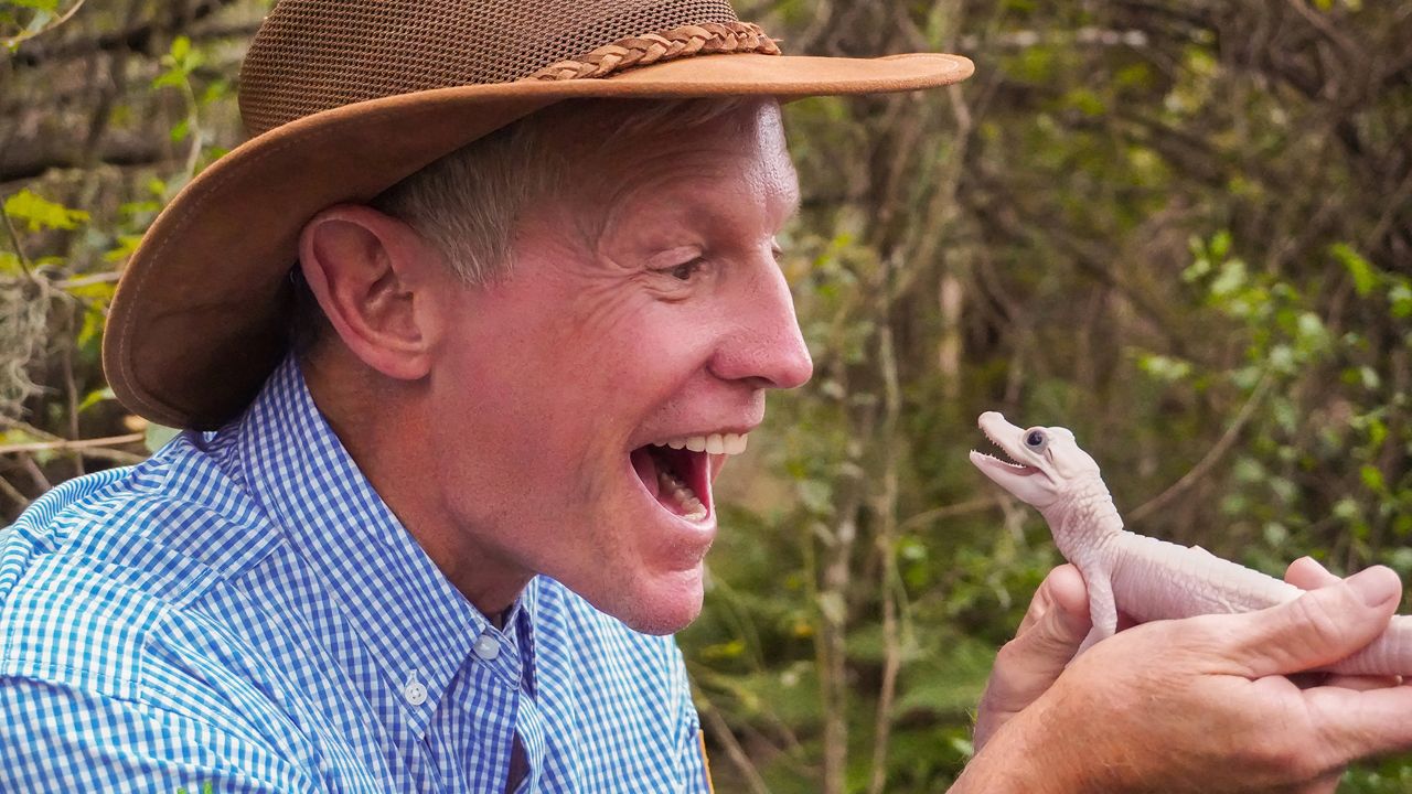 Gatorland president and CEO Mark McHugh with a rare white leucistic alligator that hatched at the park in August. (Photo: Gatorland)