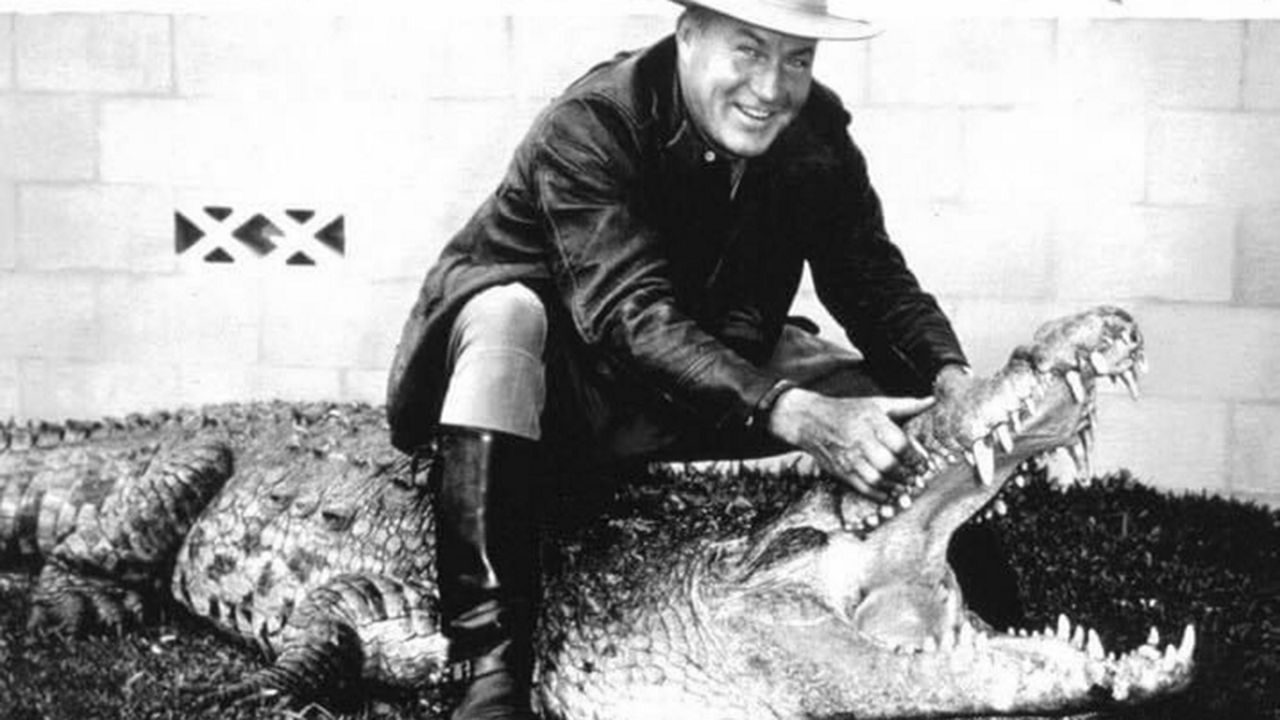 In this file photo, Owen Godwin, the founder of Gatorland, sits atop Bonecrusher, the park's famous crocodile. (Gatorland)