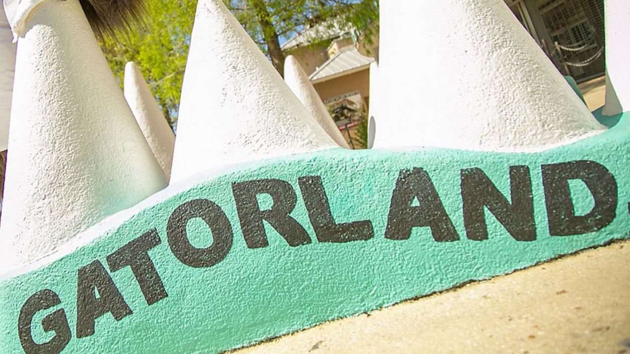 Gatorland's two-day Gatorpalooza festival is returning with live music, games, food and more in mid-May. (File Photo)