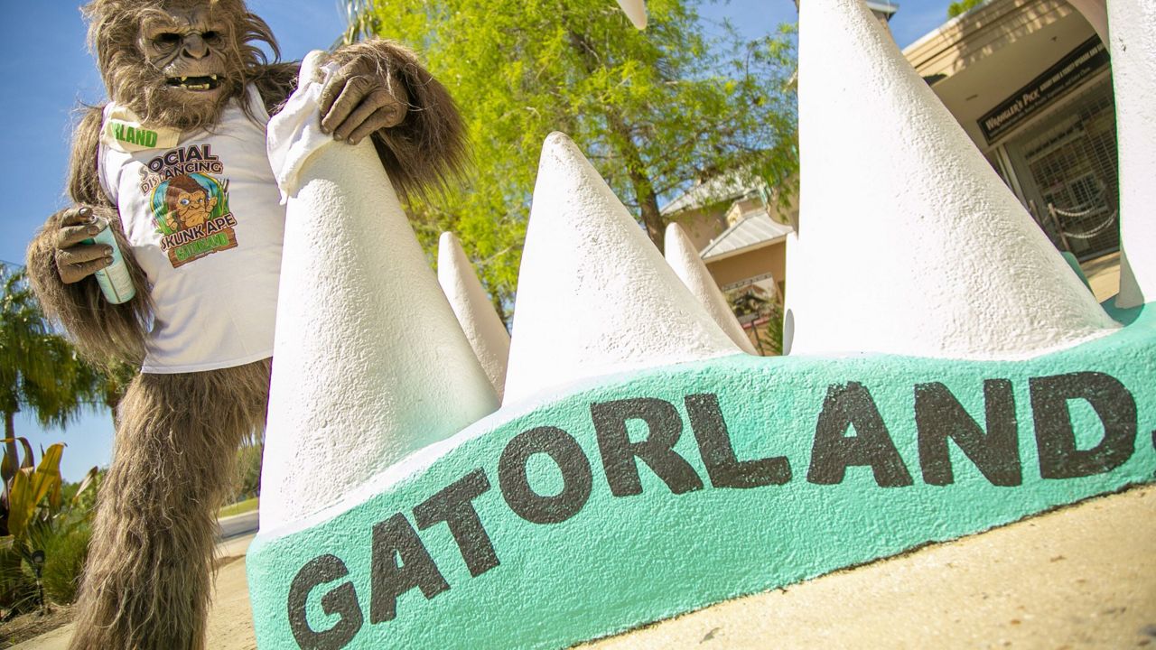 Gatorland's Social Distancing Skunk Ape. (File)