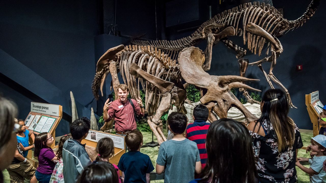 The DinoDigs exhibit at the Orlando Science Center. (OSC/Roberto Gonzalez)