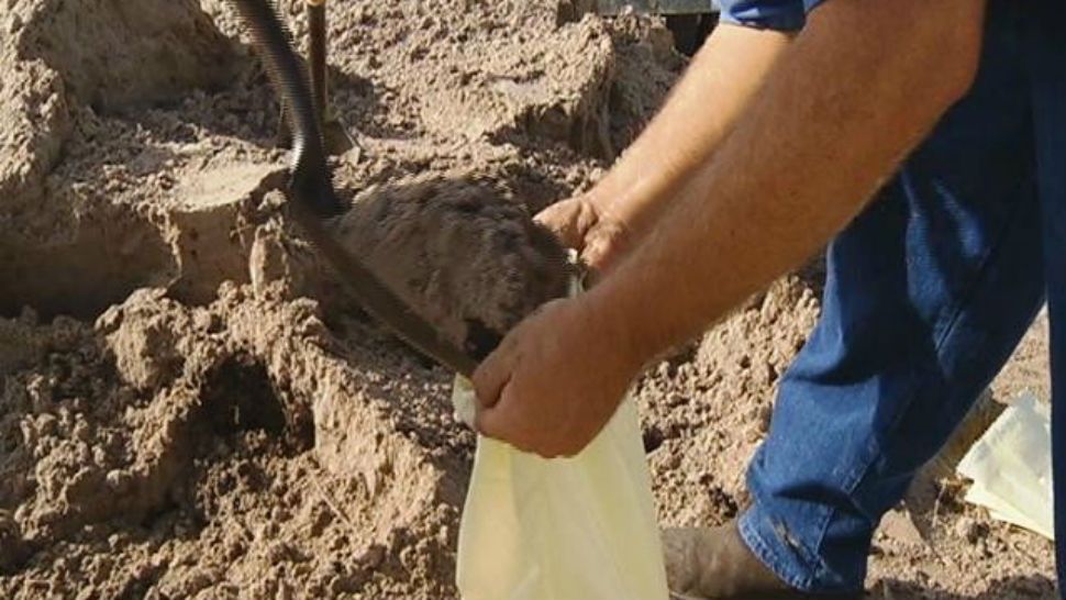 Person filling up a sandbag. (Spectrum News 13/File)