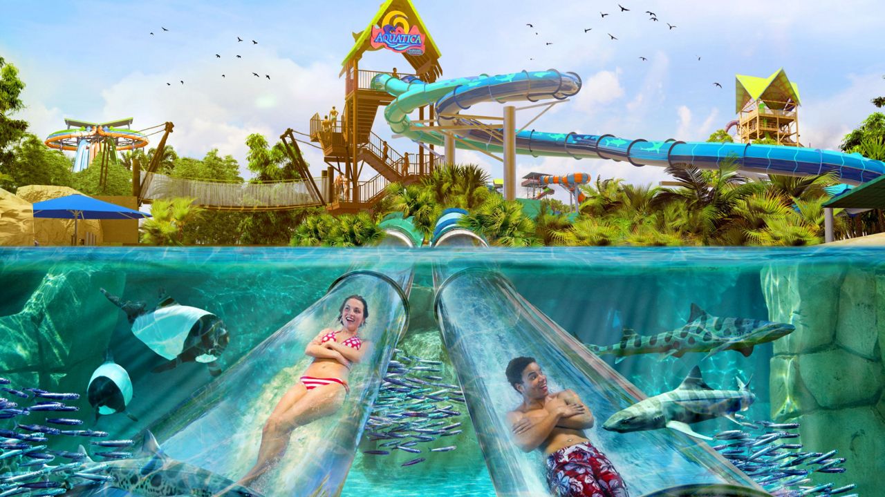 Concept art of Reef Plunge, the body slide set to open spring 2022 at Aquatica Orlando. (SeaWorld) 