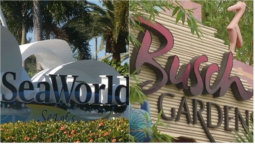 SeaWorld and Busch Gardens (File)