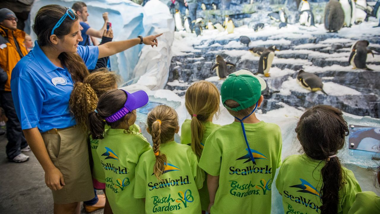 SeaWorld parks will hold holiday camps for children this month. (Photo courtesy: SeaWorld)