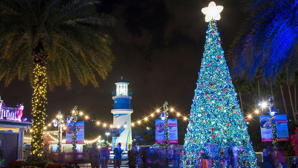 Large Christmas tree at the entrance of SeaWorld Orlando during the park's Christmas Celebration. (Courtesy of SeaWorld)