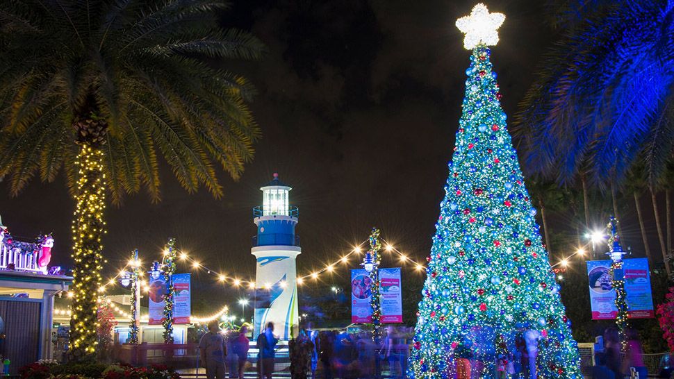 SeaWorld Sets Dates for Christmas Celebration