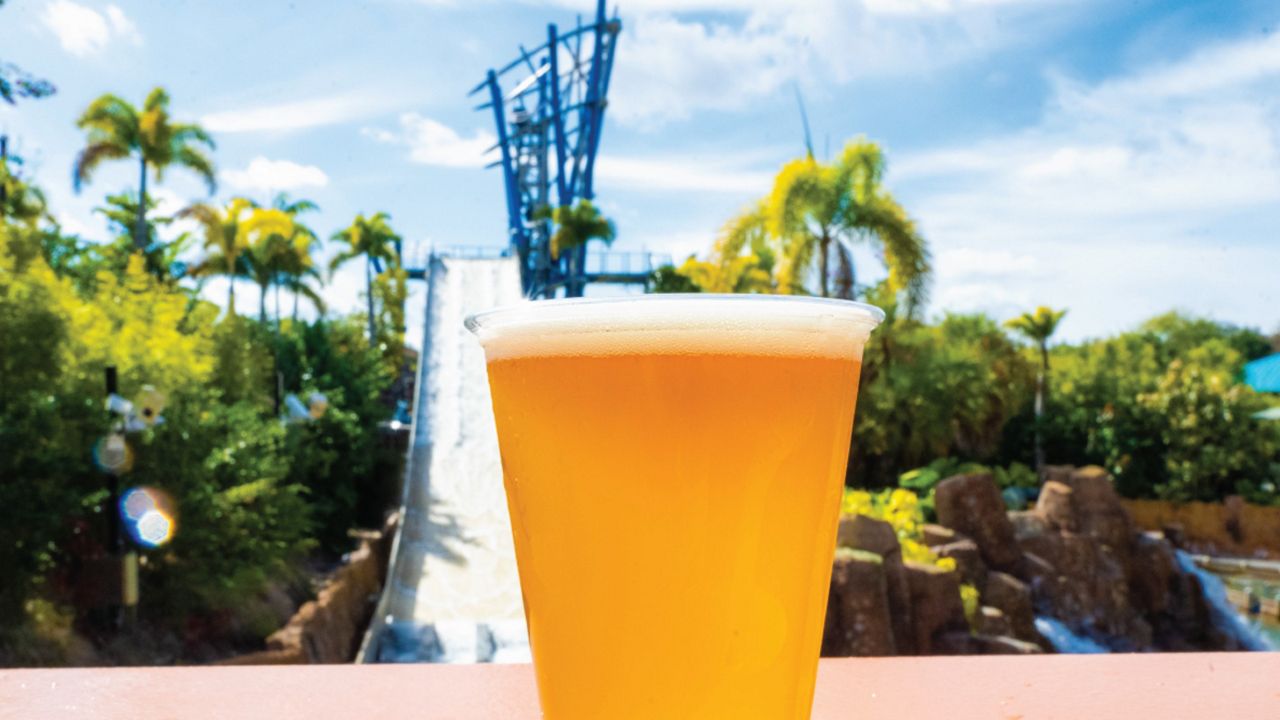 SeaWorld Orlando is giving out free beer to visitors through Jan. 31. (Photo: SeaWorld)