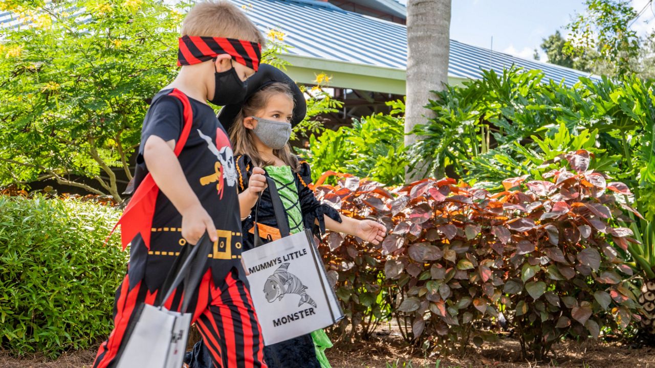 SeaWorld Orlando's Halloween Spooktacular has been modified with health and safety measures. (Courtesy of SeaWorld)