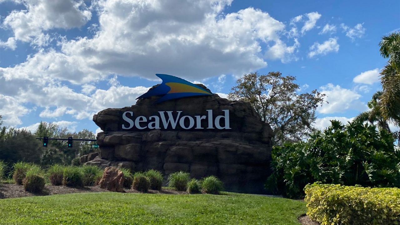 SeaWorld Orlando. (Spectrum News)