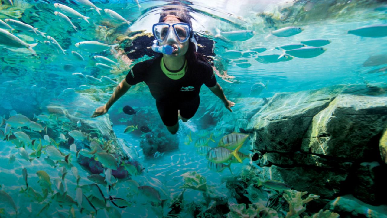 Visitor swimming in the reef at Discovery Cove. (Courtesy of Discovery Cove)