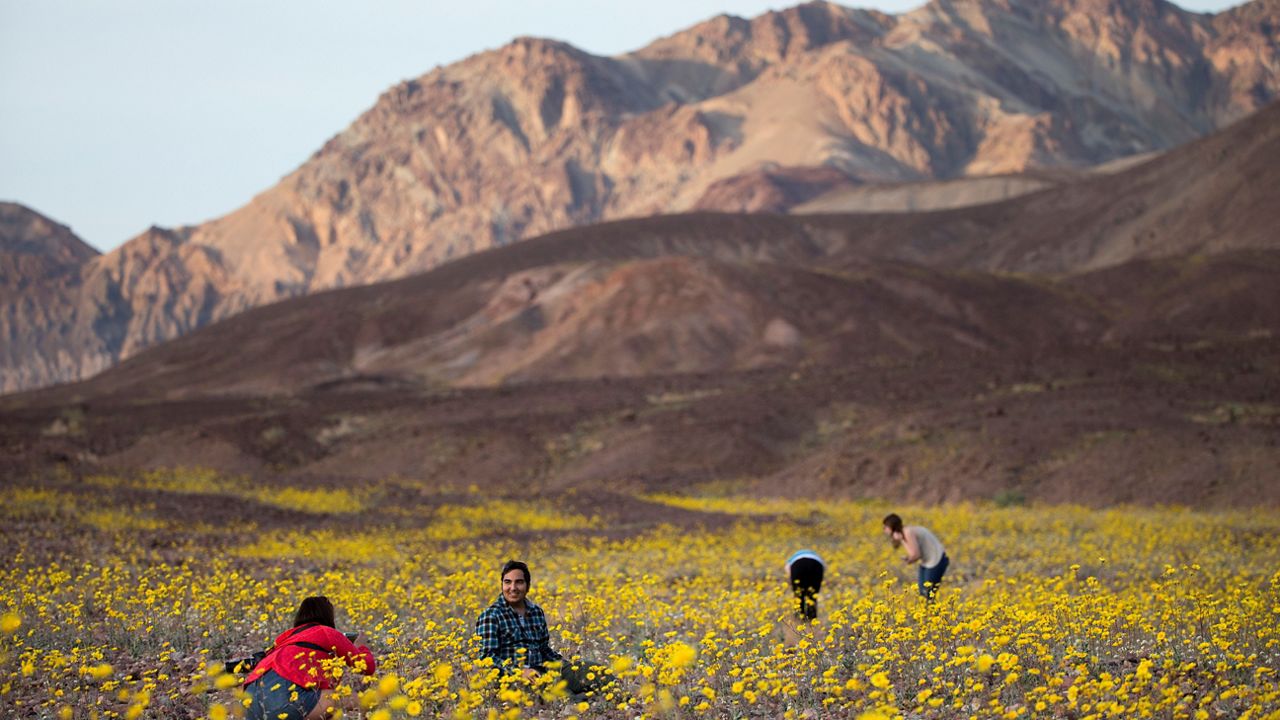 Tourists visit Death Valley National Park in California. (AP/Jae C. Hong)
