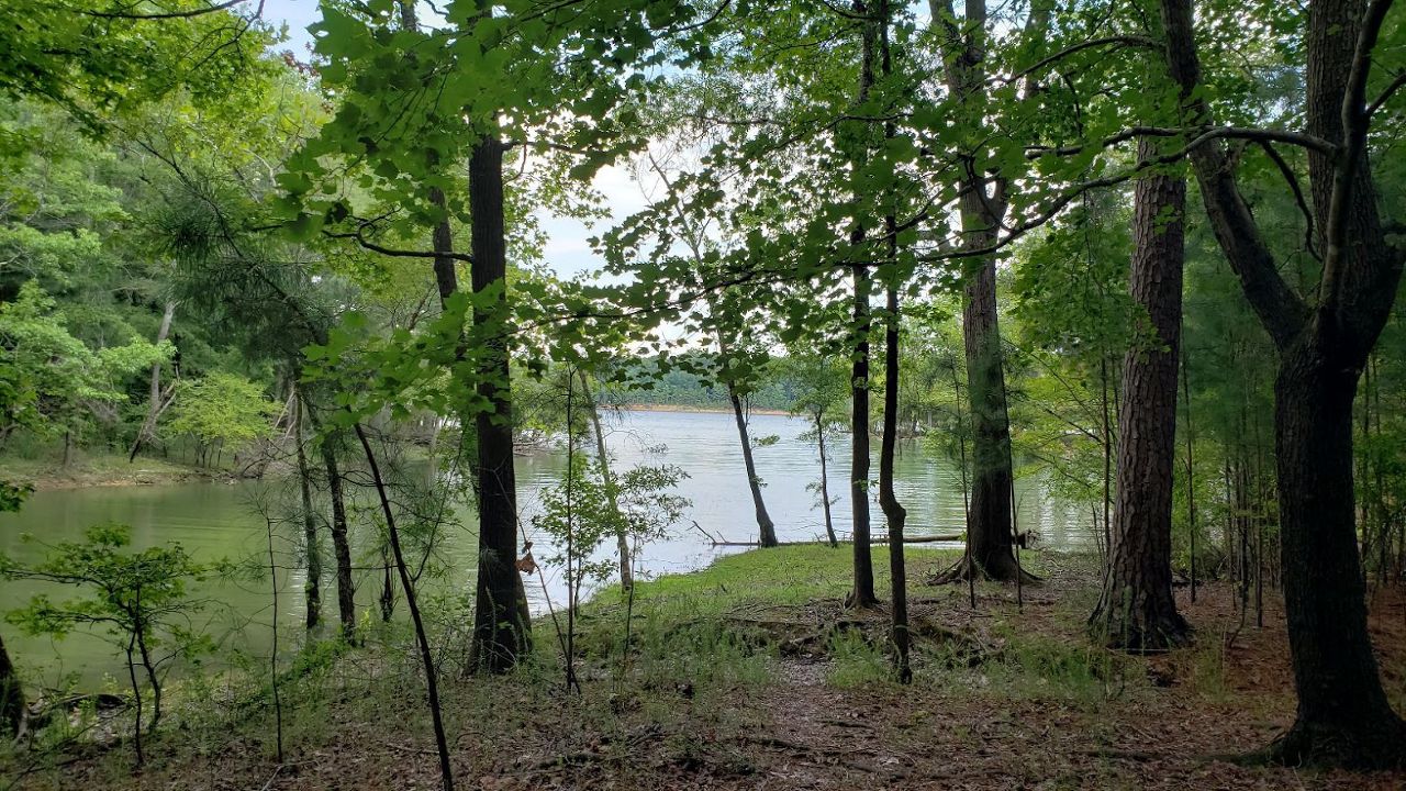 Researchers found the bacteria in chiggers at five state parks in North Carolina, including Kerr Lake State Recreation Area and Falls Lake State Recreation Area. 