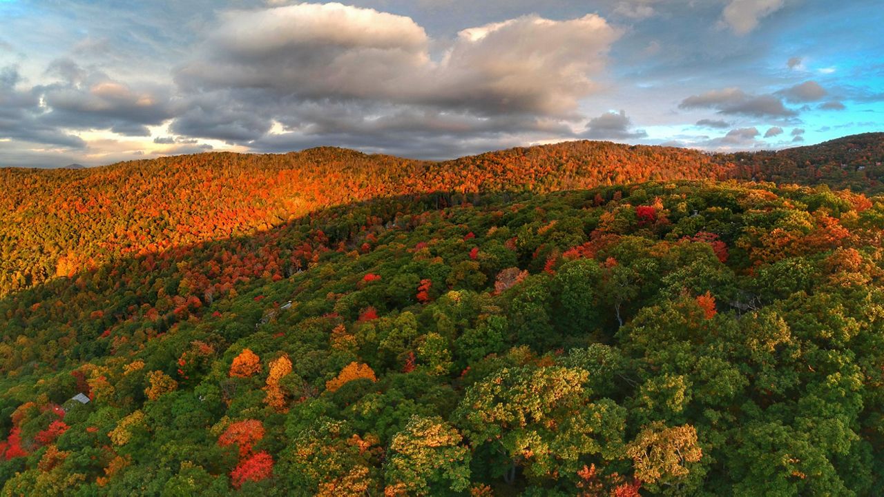 Recent view of the fall foliage in Ashe County. Photo by Will Knier.