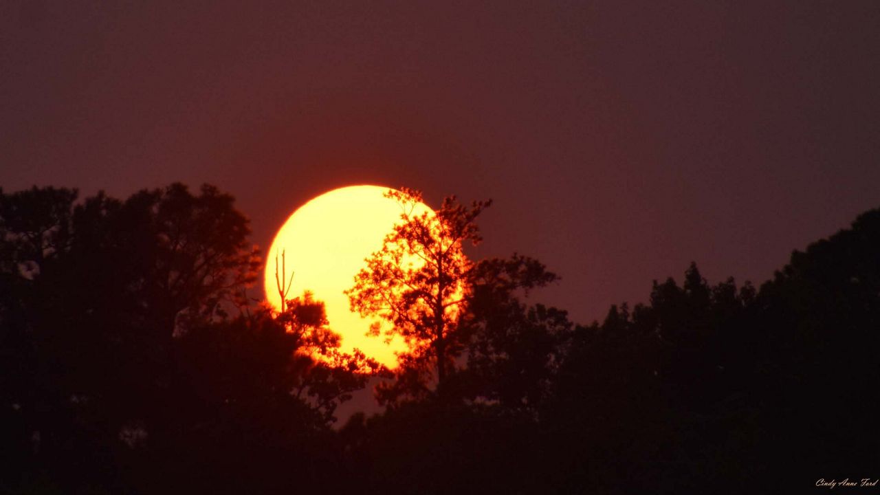 An early taste of summer? North Carolina faces record heat