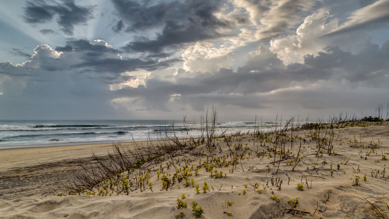 A 36-year-old man from Connecticut drowned off the beach in Nags Head, North Carolina, on Thursday. (Getty)