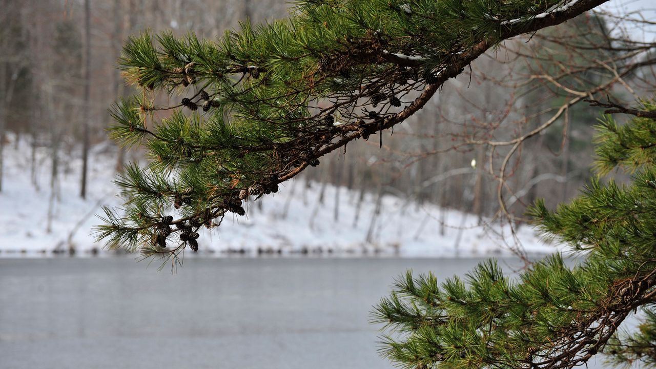 Three children were rescued from a frozen pond Thursday in the Salem Springs community of Winston-Salem. (Spectrum News 1)