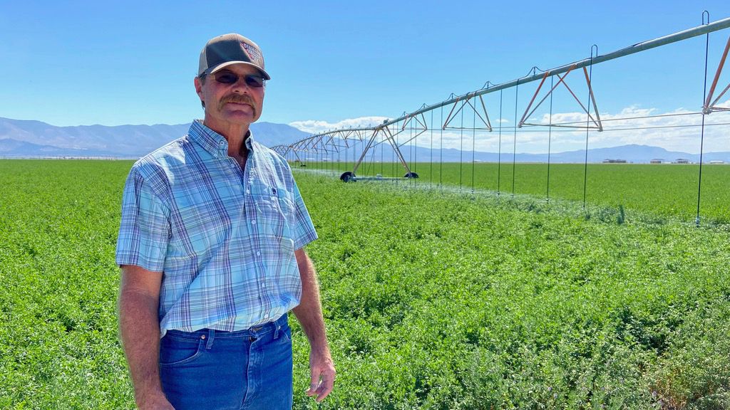 Marty Plaskett, a hay farmer in Diamond Valley, Nev., stands near one of his irrigation pivots that's watering his alfalfa field on Sept. 2, 2022. Plaskett may soon consider selling off parts of his water rights back to the state of Nevada. Plaskett, 57, has lived on a farm in Diamond Valley that his family bought for almost his whole life.(Kaleb Roedel/Mountain West News Bureau via AP)