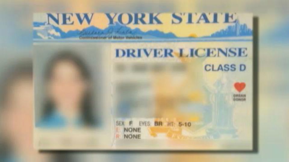 template new york drivers license photoshop