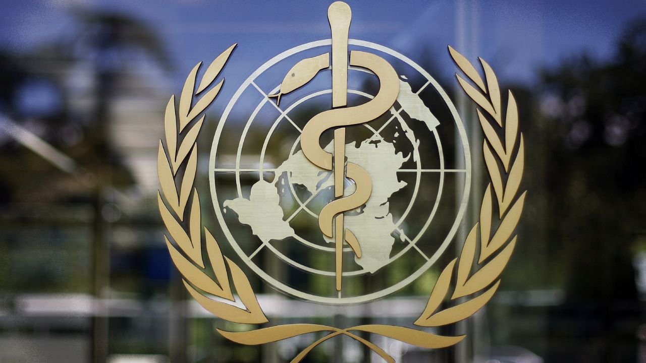 FILE - In this Thursday, June 11, 2009 file photo, the logo of the World Health Organization is seen at the WHO headquarters in Geneva, Switzerland. (AP Photo/Anja Niedringhaus, file)