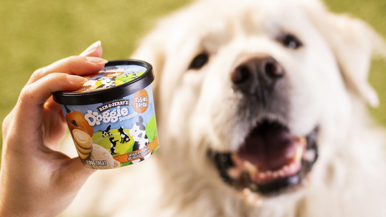 This photo provided by Ben & Jerry’s shows Ben & Jerry’s dog treats. (Ben & Jerry’s via AP)