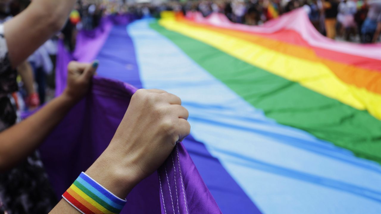 FILE: Revelers hold a rainbow flag (AP Photo/Nelson Antoine, File)