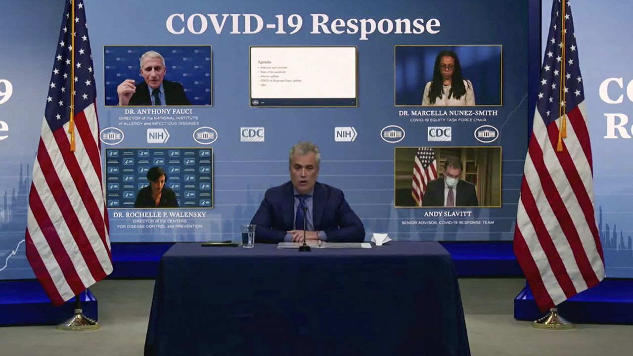 FILE: White House COVID-19 Response Team briefing (White House via AP)