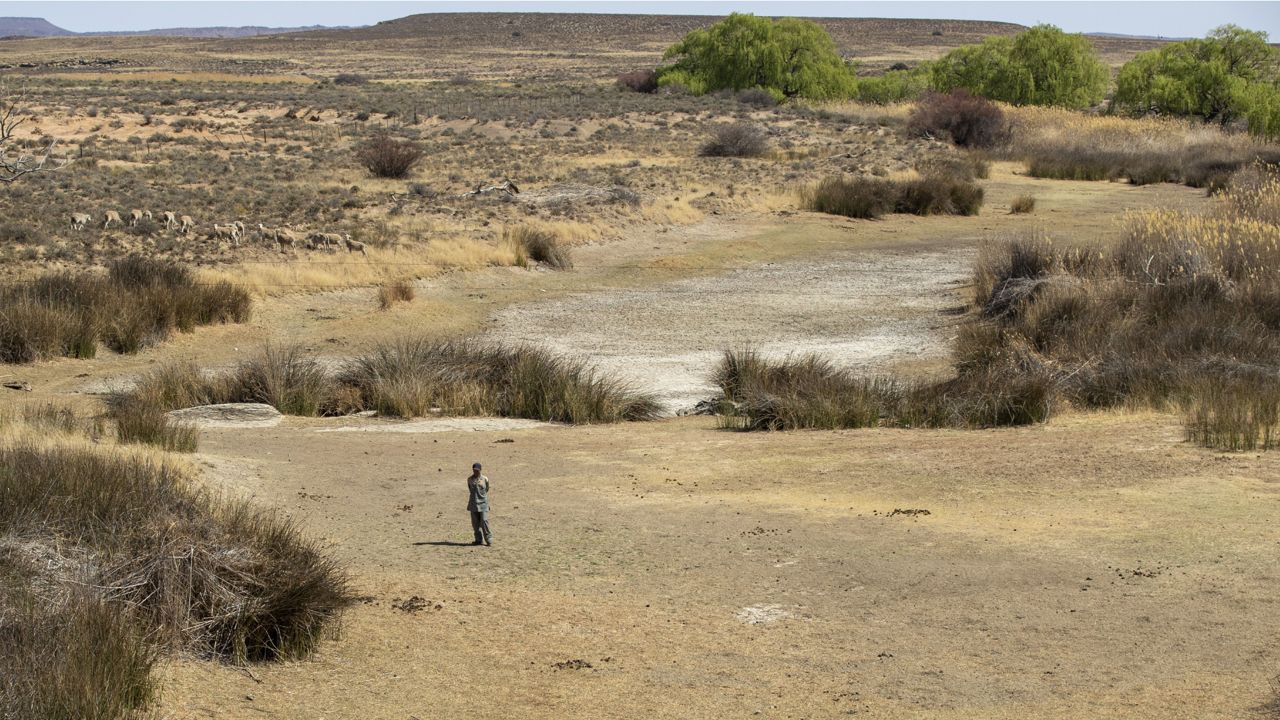 FILE - In this Friday, Sept. 24, 2021 file photo, a shepherd stands in the dry riverbed at Colesberg, Northern Cape, South Africa. (AP Photo/Themba Hadebe)