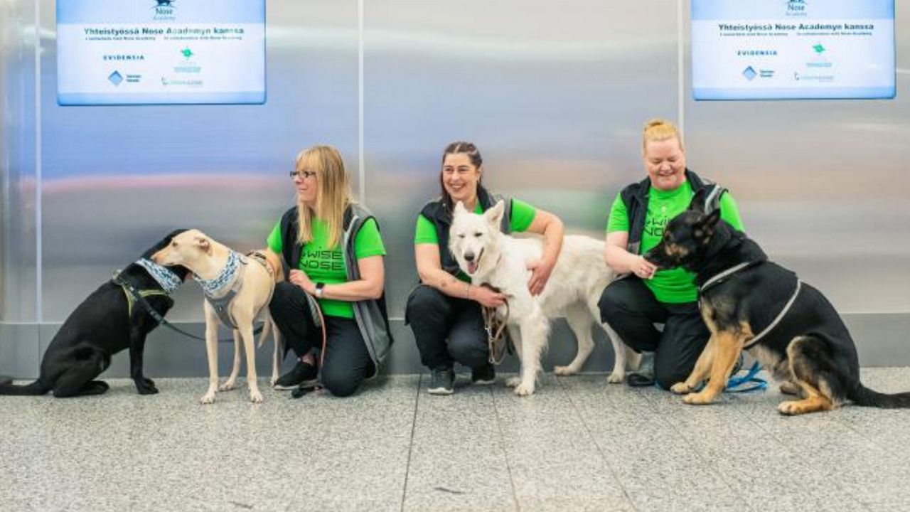 FROM LEFT: Four dogs named Miina, Kossi, ET, and Valo sit with their trainers at the Finavia airport. The dogs are being trained to detect coronavirus in humans through their scent. (Antti Aimo-Koivisto/Lehtikuva via AP) 