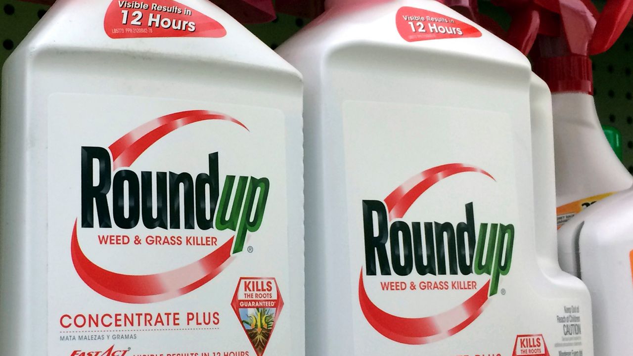 The chemical weed killer RoundUp, also known as glyphosate. (AP Photo/Reed Saxon)