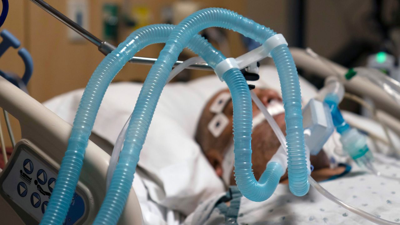 Ventilator tubes are attached a COVID-19 patient at Providence Holy Cross Medical Center in the Mission Hills section of Los Angeles, Thursday, Nov. 19, 2020. (AP Photo/Jae C. Hong)