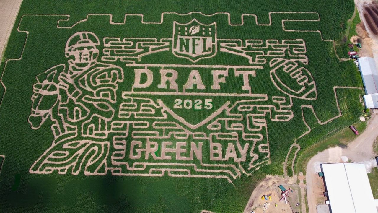 corn maze