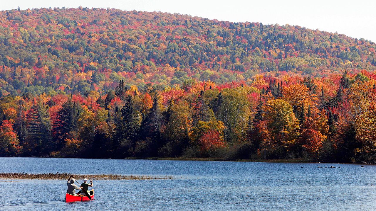 Fall Colors