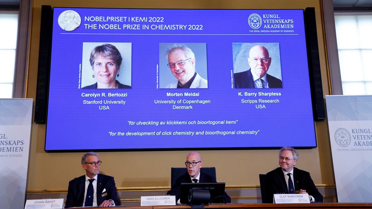 Nobel Prize - Awards, Sciences, Peace