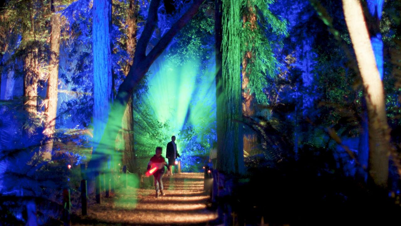 Descanso Gardens' "Enchanted Forest of Light"
