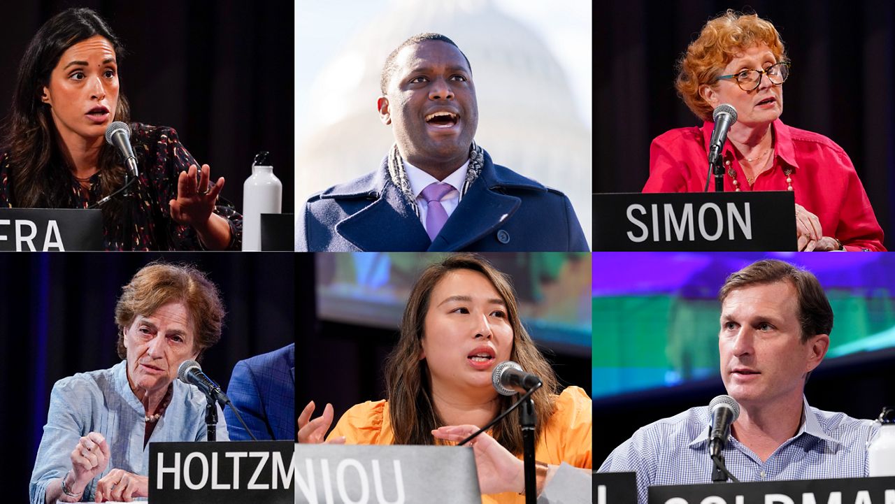 From top left to bottom right, Council member Carlina Rivera, Rep. Mondaire Jones, Assembly member Jo Anne Simon, former Rep. Elizabeth Holtzman, Assembly member Yuh-Line Niou, and former House Democrats impeachment counsel Dan Goldman. (AP Photo/Andrew Harnik for Rep. Mondaire Jones; AP Photo/Mary Altaffer for the other five candidates)