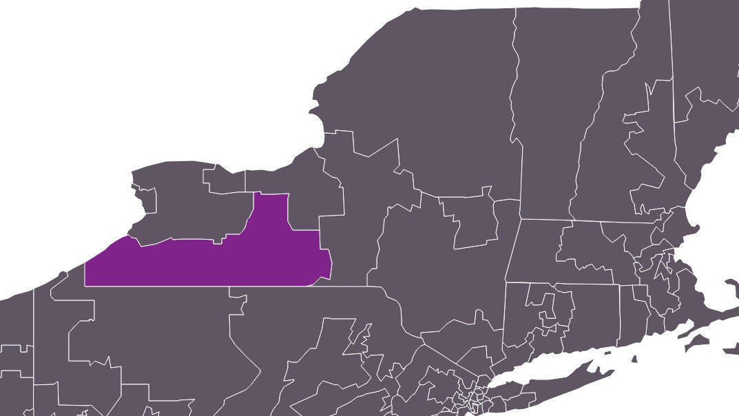 Special election for NY23