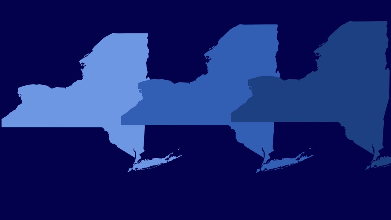 新团体旨在在2024年使纽约的国会席位变为蓝色