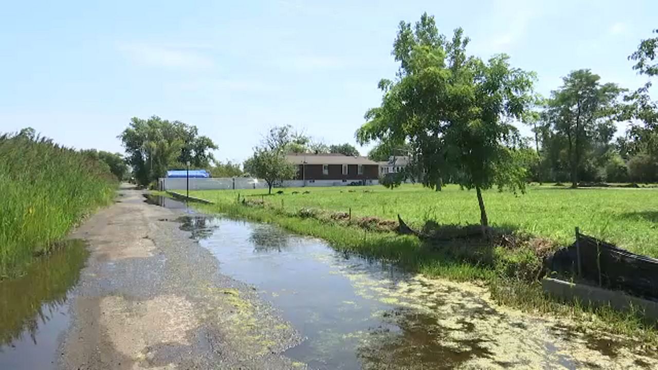A flooded road in Staten Island, with tall green grass on the left side and a green, overgrown grass lawn on the right side, with a single house in the background, showing the effects of rising sea level and flooding on a Staten Island neighborhood.