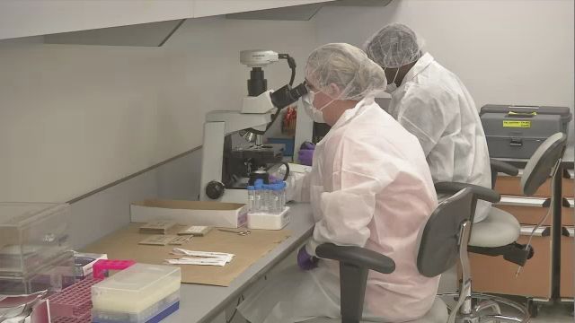 15 Years Later, Remains of More Than a Thousand 9/11 Victims Still ...