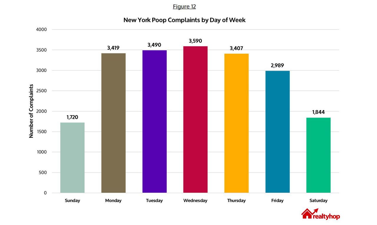 Study Which Nyc Borough Has The Most Complaints About Poop