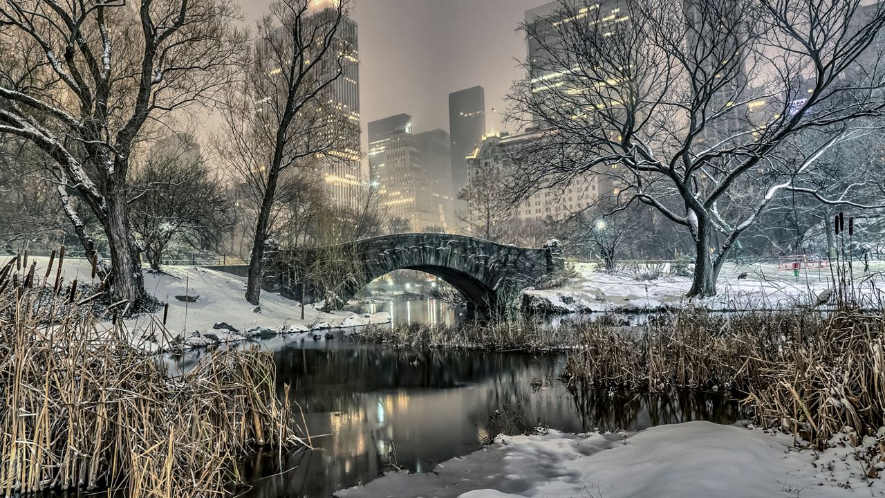 Central Park Snow