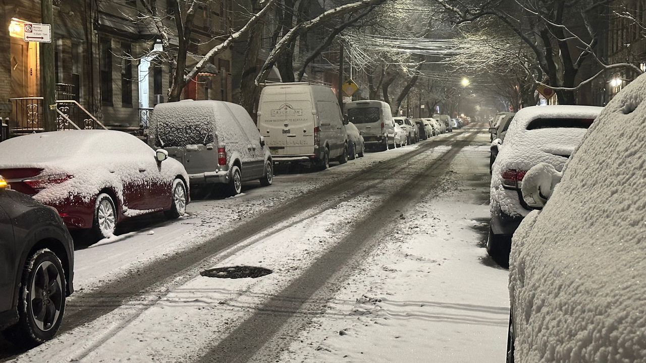 Nieve. NYC.