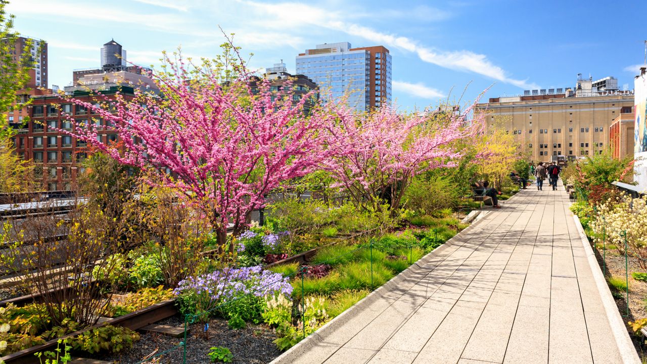 New York City Spring 