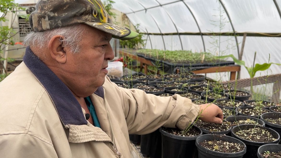 Nys farmers planting the seeds for successful growing season
